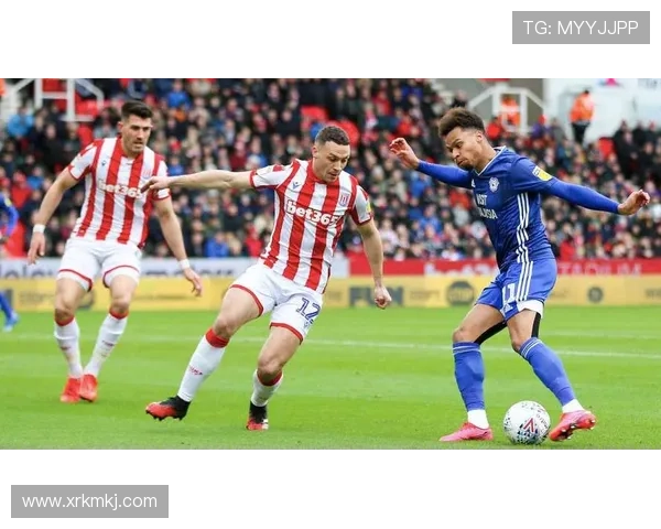 勒阿弗尔俱乐部:探索法国足球新生力量与历史传承的交汇点 勒阿弗尔俱乐部:探索法国足球新生力量与历史传承的交汇点