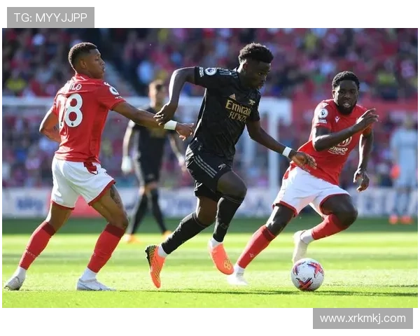 全新赛季开启 各大体育赛事精彩纷呈 球迷期待巅峰对决 全新赛季开启 各大体育赛事精彩纷呈 球迷期待巅峰对决