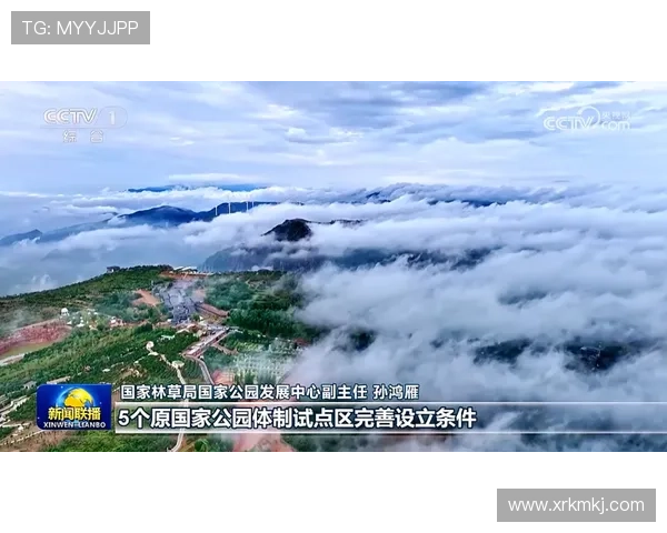 塞维利亚俱乐部新援亮相助力球队备战新赛季取得积极进展动态消息